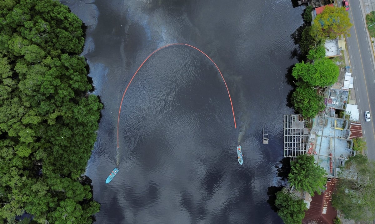 Hair vs. oil: The curious method to clean beaches affected by the spill in the Gulf