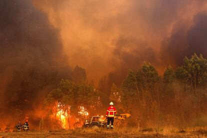 Bomberos en el incendio de Odemira, en Portugal, este 7 de agosto.