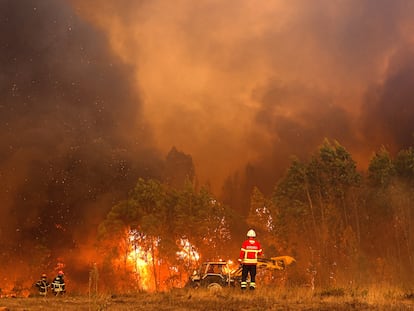 Bomberos en el incendio de Odemira, en Portugal, este 7 de agosto.