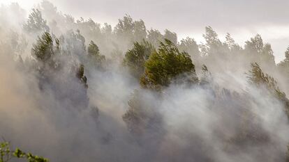Una imagen del incendio forestal en Montitxelvo (Valencia).