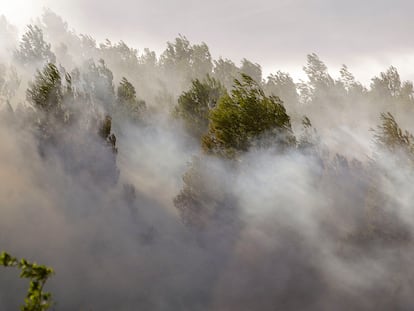 Una imagen del incendio forestal en Montitxelvo (Valencia).