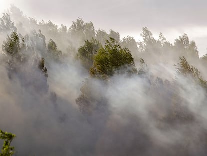 El incendio forestal iniciado el jueves en Montitxelvo (Valencia) este sábado.