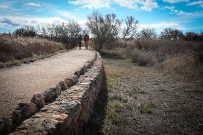 Dos personas pasan por una de las pasarelas que recorren el parque nacional de las Tablas de Daimiel para la visita. El agua debería llegar hasta el borde del camino si la laguna estuviera inundada