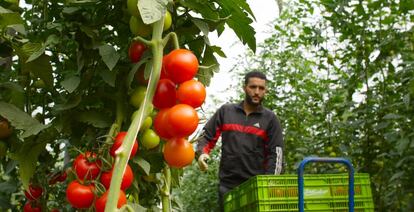 La compañía fue una de las primeras en centrarse en la producción ecológica. 