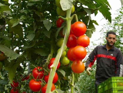 La compañía fue una de las primeras en centrarse en la producción ecológica. 