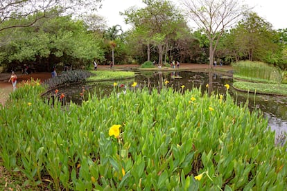 Jardín Botánico de Maracaibo en Venezuela.
© JOSE