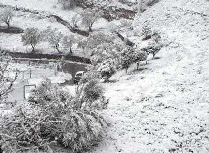 Un coche circulaba ayer por una carretera de Els Ports próxima a Morella, en medio de un paisaje completamente nevado.