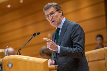 El líder del PP, Alberto Núñez Feijóo, este martes durante el pleno del Senado.