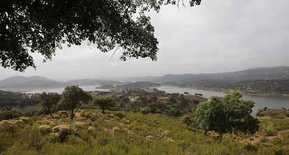 Imagen de la Sierra Norte de Sevilla, lugar donde se pretende hacer una próxima suelta de linces.