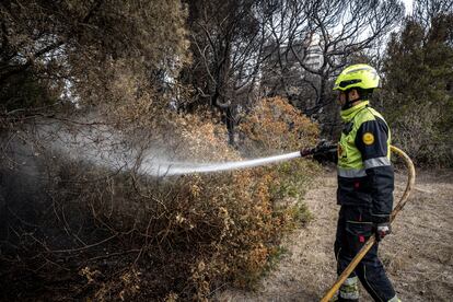 Un bombero refrescando la zona afectada, el pasado jueves en El Saler.