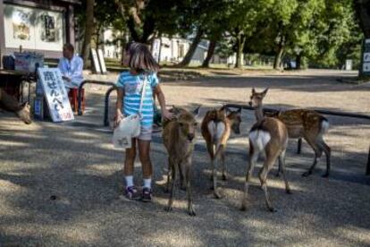 Una niña acariciando un ciervo en el parque de Nara, en Kansai (Japón).