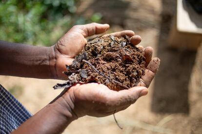 Fertilizante ecológico EM (microorganismos efectivos) realizado con productos procedentes de la granja. “Los suelos están degradados, y el uso de fertilizantes ecológicos ayuda a la recuperación de éstos”, comenta Souleymane Belemgengre, director de la granja escuela Beo-Neere. Él aprendió a fabricar EM durante un intercambio de formación en Cuba al que asistió gracias a Terre y Humanisme. La agricultura ecológica trata el suelo como si fuese un ser vivo, fomentando su fertilidad y biodiversidad.
				

