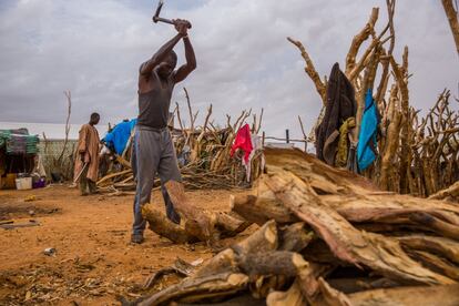 Las casas de los refugiados se construyen con los materiales de la zona y prestados por las organizaciones internacionales. Las acacias se llevan la peor parte.