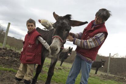 Elsa Pérez y su hijo, con la burra Bienvenida en la sede de la asociación Andrea.