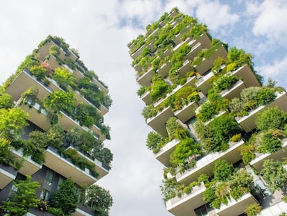 Rascacielos cubiertos de vegetación, obra del arquitecto italiano Stefano Boeri. Se sitúan en Milán y son dos torres de 80 y 112 metros de alto, donde se plantaron 780 árboles y 16.000 plantas y arbustos: el equivalente a dos hectáreas de bosque.