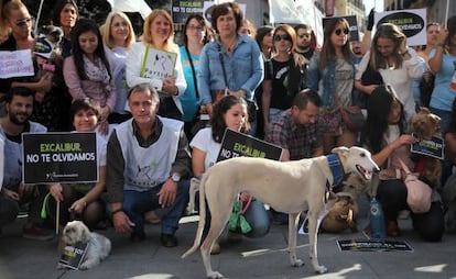 Teresa Romero, la auxiliar de enfermería que se infectó de ébola en España, en una manifestación convocada por el partido animalista PACMA.
