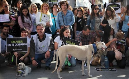 Teresa Romero, la auxiliar de enfermer&iacute;a que se infect&oacute; de &eacute;bola en Espa&ntilde;a, en una manifestaci&oacute;n convocada por el partido animalista PACMA.