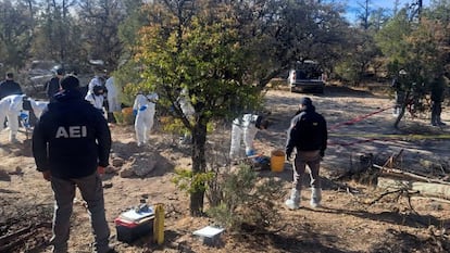 Peritos trabajan en una de las fosas clandestinas en la localidad de Casas Grandes, Chihuahua.