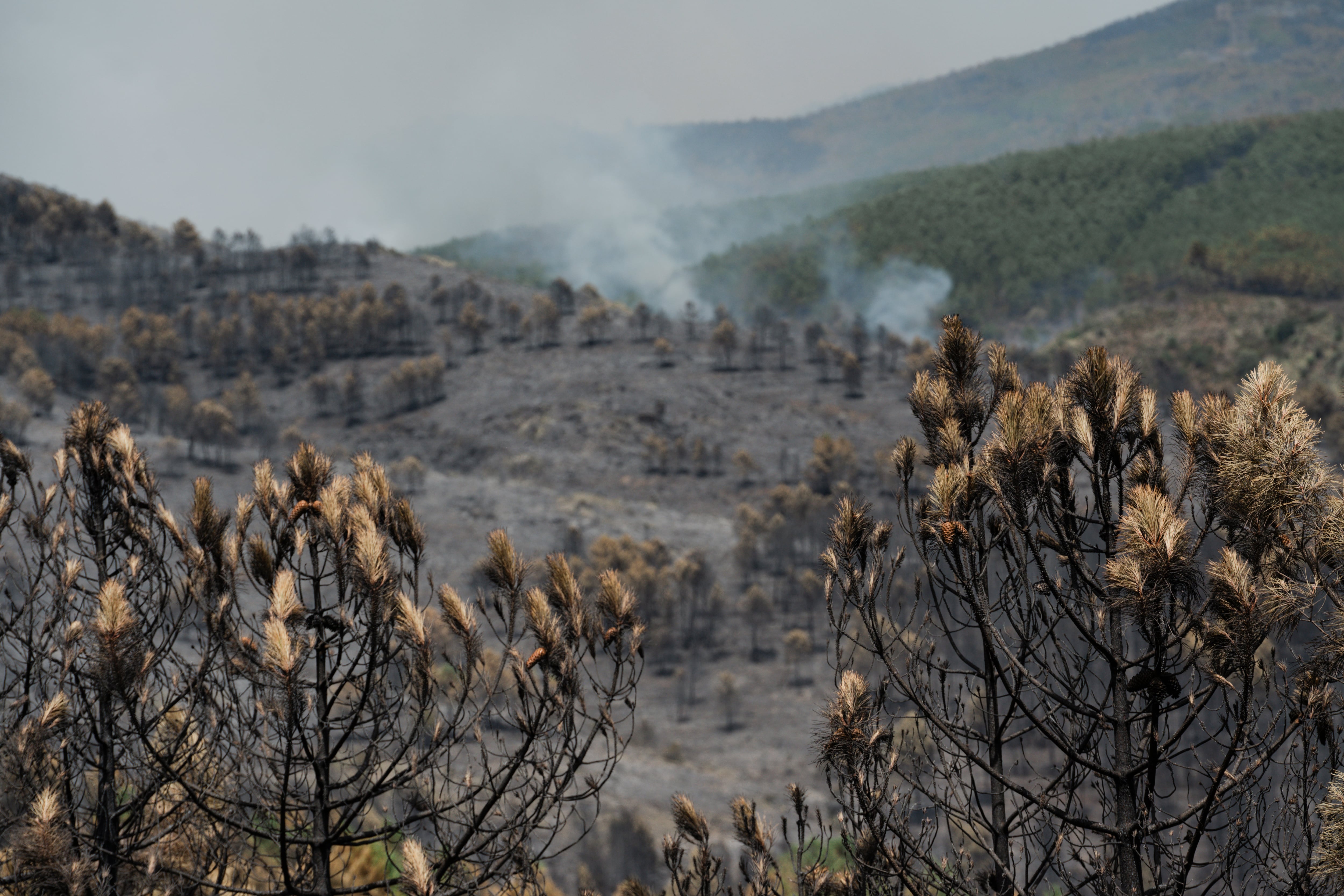 El incendio de La Mierla suma 9.000 hectáreas afectadas y más de 600 evacuados en 16 municipios