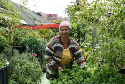 María Carvalho Santos colabora en la gran huerta del barrio y es beneficiaria de las cestas de hortalizas orgánicas.