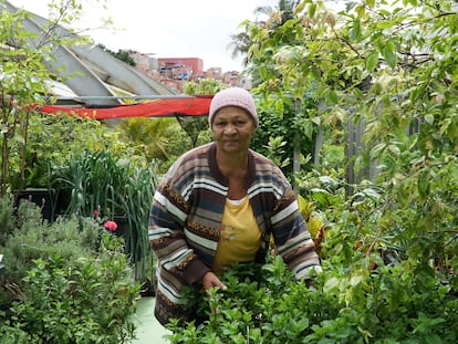 María Carvalho Santos colabora en la gran huerta del barrio y es beneficiaria de las cestas de hortalizas orgánicas.