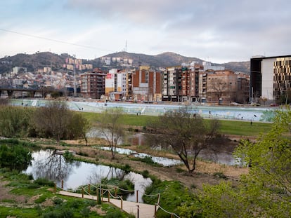 El refugio para la biodiversidad en el margen derecho del río Besòs. Vídeo: Pat Gallart.