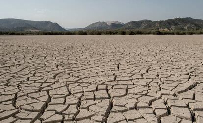 Imagen de un pantano español tomada en julio de 2017.