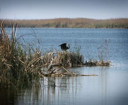 L'Albufera de Valencia.