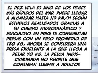 Ramón