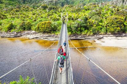 El Heaphy Track es un recorrido de entre 4 y 6 días de duración adorado por excursionitas y ciclistas de montaña, una autentica joya senderista del parque nacional de Kahurangi, la fabulosa extensión natural que se expande por la esquina noroeste de la isla del Sur. Entre sus maravillas destacan las místicas colinas Gouland Downs y la surrealista costa de palmeras nikau. El sendero es una de las rutas más populares del país, y aunque es bastante larga, también es la de menor dificultad del parque.