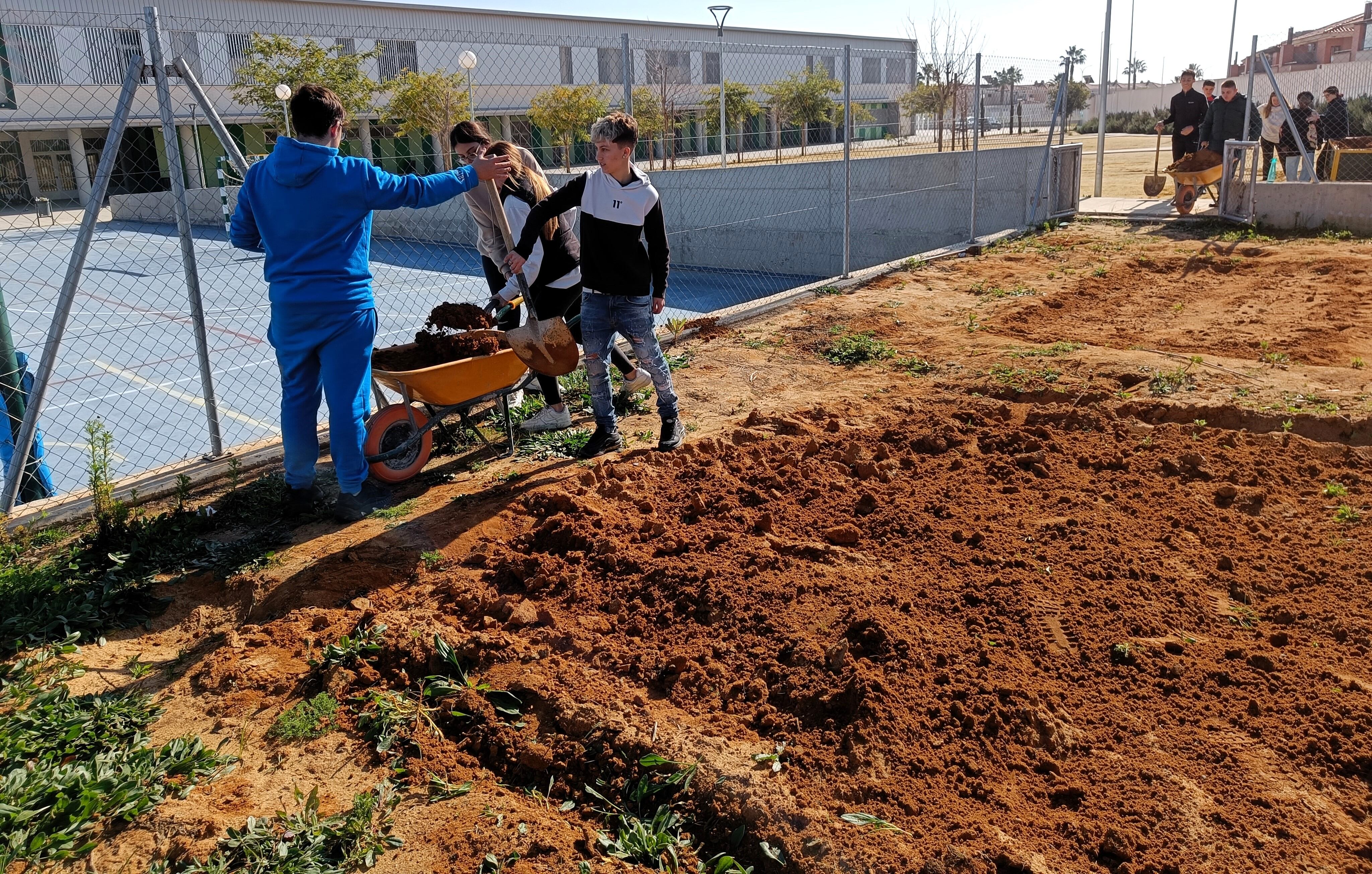 Estudiantes de 4o ESO del IES Almensilla trabajando en el huerto del instituto.