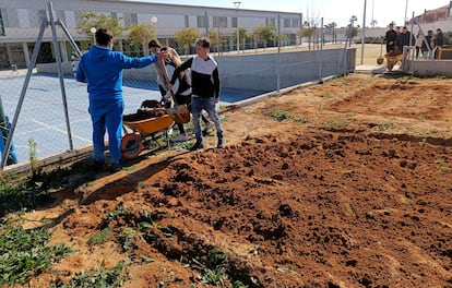 Estudiantes de 4o ESO del IES Almensilla trabajando en el huerto del instituto.