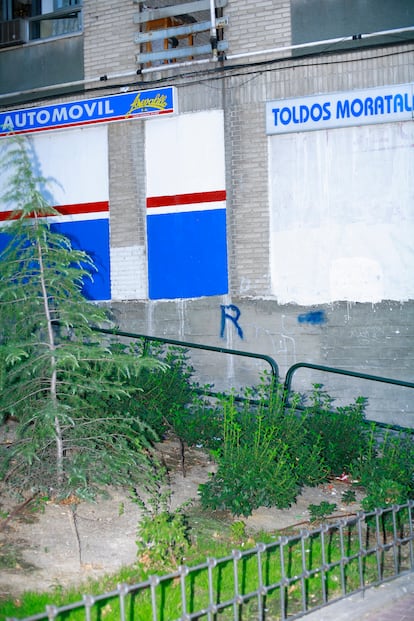 Retrato del proyecto Belleza de barrio (2008) de Ricardo Cases.