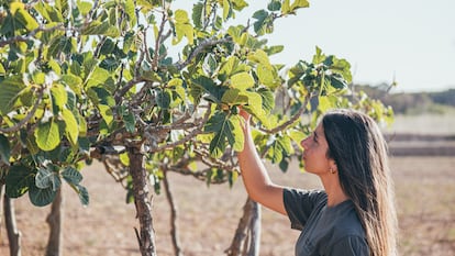 La cocinera, especializada en pastelería, Clara Campoamor posa delante de la higuera Na Blanca d’en Mestre, en Formentera. Imagen proporcionada por el restaurante Sol Post.