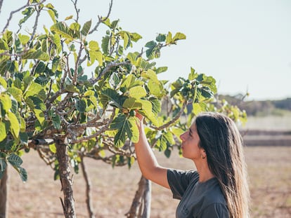 La cocinera, especializada en pastelería, Clara Campoamor posa delante de la higuera Na Blanca d’en Mestre, en Formentera. Imagen proporcionada por el restaurante Sol Post.