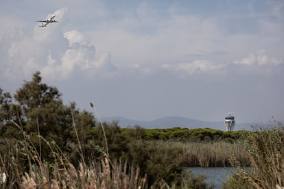 Un avión pasa sobre La Ricarda, una zona protegida cerca del aeropuerto del Prat de Barcelona, este jueves.