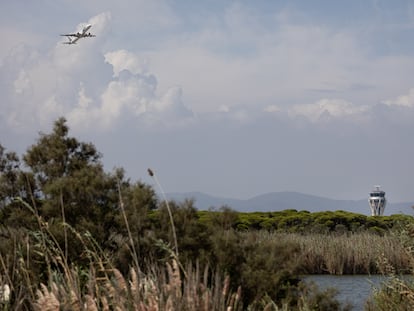 Un avión pasa sobre La Ricarda, una zona protegida cerca del aeropuerto del Prat de Barcelona, este jueves.