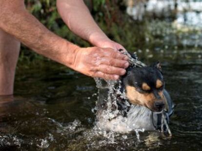 Se prevén temperaturas por encima de los 40 grados en los valles del Guadalquivir, Guadiana, Tajo y Ebro y solo se librarán de la canícula Canarias y los litorales