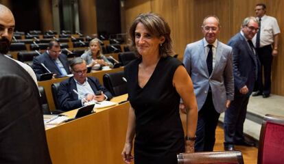 La ministra Teresa Ribera, en el Congreso. 