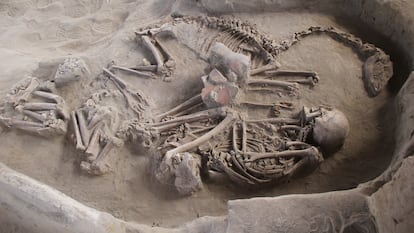 Vista de un enterramiento del yacimiento de El Olivar con los restos de una llama y un humano.