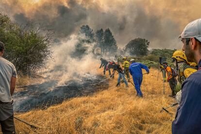 Los voluntarios apalean las brasas para formar un cortafuegos.
