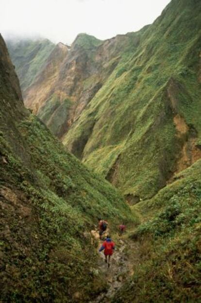 Ruta senderista en el valle de la Desolación, parque natural Trois Pitons, Dominica.