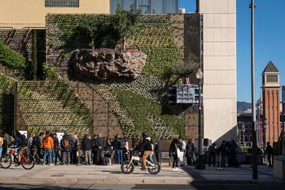 Inauguración del primer bosque vertical con árboles en suspensión y centenares de especies de plantas en la antigua pared del Palacio de la Metalurgia de Montjuïc.