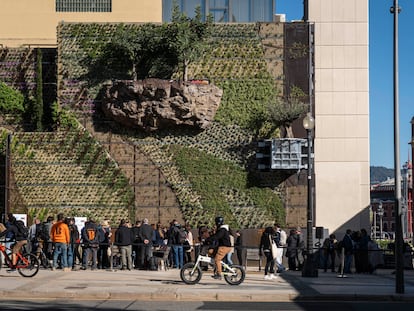 Inauguración del primer bosque vertical con árboles en suspensión y centenares de especies de plantas en la antigua pared del Palacio de la Metalurgia de Montjuïc.