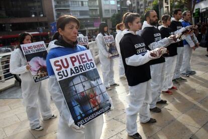 Militantes de Igualdad Animal protestan en 2009 ante el Corte Inglés de Valencia con visones gaseados y despellejados en granjas españolas.