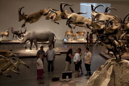 Un aspecto de la exposición <i>Animales de museo,</i> que puede verse en el Parque de las Ciencias de Granada.