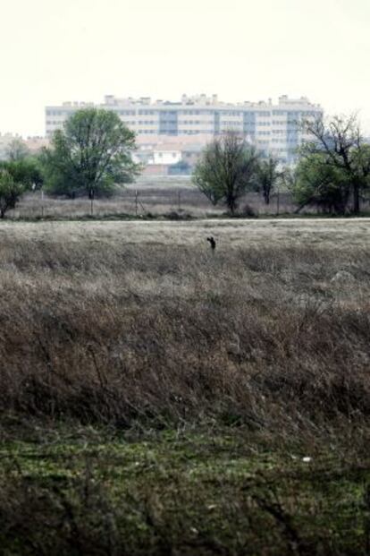 Parte de los terrenos que iban a ser urbanizados en Ciempozuelos, el origen del supuesto caso de corrupción.