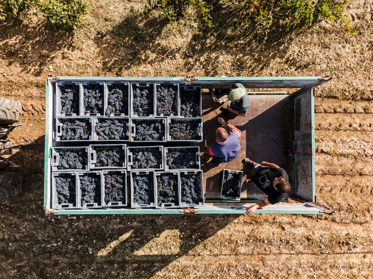 Entre uniformes y cajas… Escuelita de Yangana | Mini Lectores Ecuador, image size:1200x900