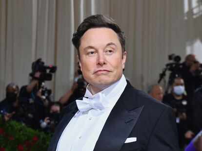 Elon Musk azafata