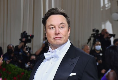 Elon Musk azafata